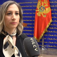 Kaluđerović za ADRIU: Priča o krizi neosnovana, parlamentarna većina je stabilna